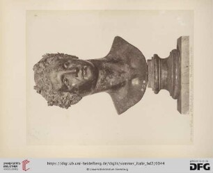 No. 5690. Ptolomée Philadelyhe: bronze - Herculanum 1759.