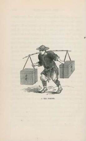 A tea porter