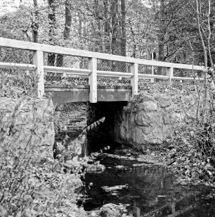 Grönwohldhof: Mühlenau: Brücke mit Holzgeländer: Dorfstraße Richtung Dwerkaten: vorn Sträucher: hinten Bäume