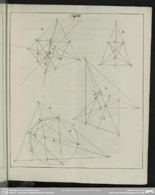 Taf. III, Abb. 18-21