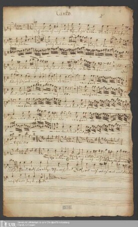 Ms. Ff. Mus. 1193 - Palmarum