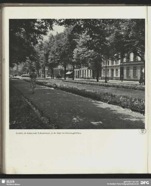 Grünanlage in Krefeld