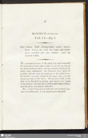 Buccinum reticosum. Tab. CX. — Fig. 2