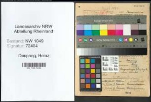 Entnazifizierung Heinz Despang , geb. 27.03.1920 (Vertreter)