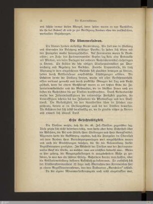 Erste Gefechtstätigkeit