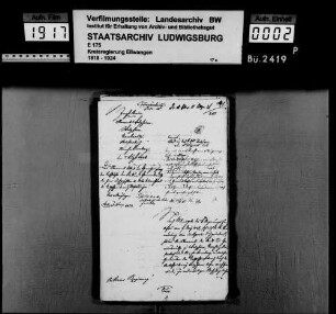 Ortsvorsteher der Stadtgemeinde Welzheim