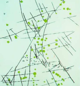 Vorträge Wolfgang Schreiber, Titelbilder und Grafiken