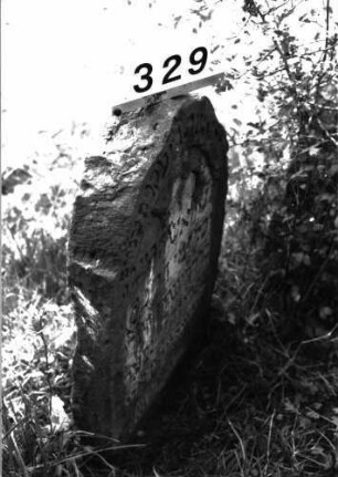 Grabstein 329