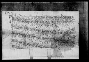 Jörg von Waldeck genannt Heimertinger, Komtur zu Winnenden, verkauft an Reinhard von Gärtringen des Deutschordens großes Haus auf dem steinernen Stock in der Stadt Winnenden um 200 fl.