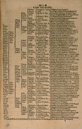 Theatrum. Nobilitatis. Europeae : Tabulis. Progonologicis. Praecipuorum. In. Cultiori. Christiano. Orbe. Magnatum. Et. Illustrium. Progenitores. CXXIIX. LXIV. Aut. XXXII. Iusto Ordine Repraesentantibus Exornatum, 3. Theatri, In Quo Nobilitatis Europeae Tabulis Progonologicis ... Iusto Ordine Repraesentantur, Auctarium ...