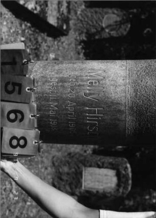 Grabstein 1568 [Hahn S. 240 Grab-Nr. 2257]: Grabstein 1568 (Detailaufnahme) [Hahn S. 240 Grab-Nr. 2257]