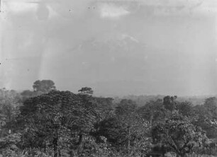 Landschaft und Kibo : Landschaft im Kilimandscharo-Gebiet mit dem schneebedeckten Kibo im Hintergrund