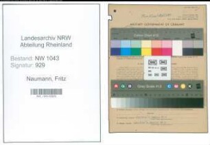 Entnazifizierung Fritz Naumann , geb. 08.04.1899 (Ingenieur)