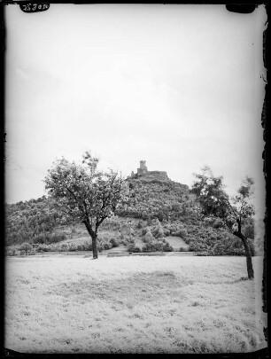 Ruine Mühlberg von der Strasse