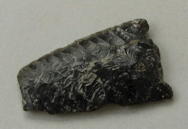 Obsidian tip