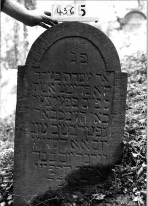 Grabstein 436 (Index: 99803710) Material: Sandstein Zustand: gut Maße HxBxT: 86x55x10 cm Beschreibung: Stele mit eingezogenem Rundbogen, profiliertem Rand: Grabstein 436