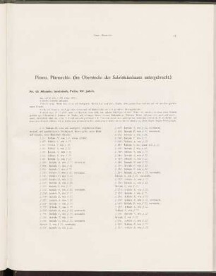 Pirano, Pfarrarchiv. (Im Oberstocke des Sakristeianbaues untergebracht.)