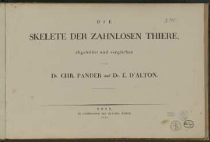 Die Skelete der zahnlosen Thiere