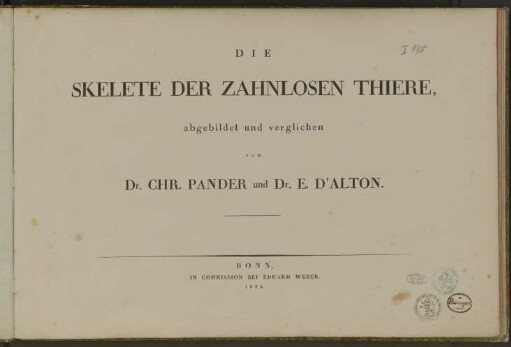 Die Skelete der zahnlosen Thiere
