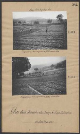 Kaysersberg, Gemüsegarten III/LIR 3, rechte Seite