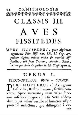 Classis III. Aves Fissipedes