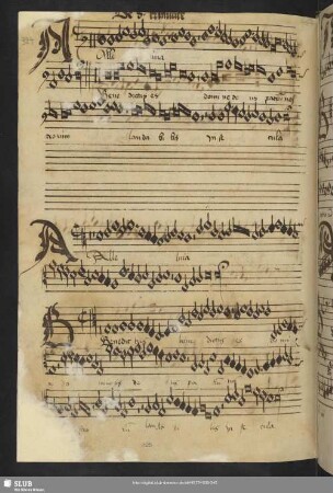 [Anon.:] Alleluia benedictus est