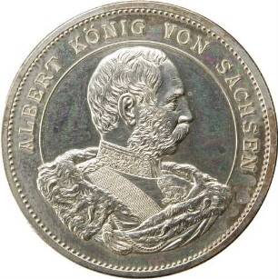 König Albert - 800 jähriges Wettinjubiläum, Medaille der Numismatischen Gesellschaft zu Dresden