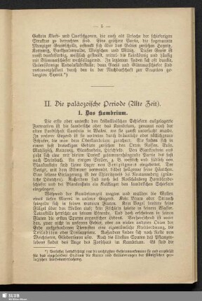 II. Die pläozoische Periode (Alte Zeit)