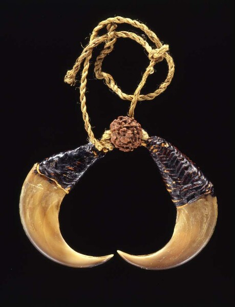 Jewellery pendant made from tiger claws