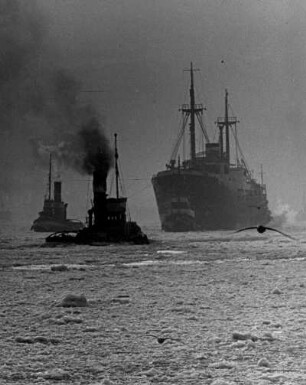 Hamburg. Der Hafen im Winter. Den großen Schiffen macht das Eis im Hafenbecken nichts aus. Schlepper bugsieren ein Frachtschiff zu seinem Liegeplatz