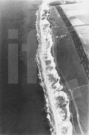 Strand bei Ahrenshoop