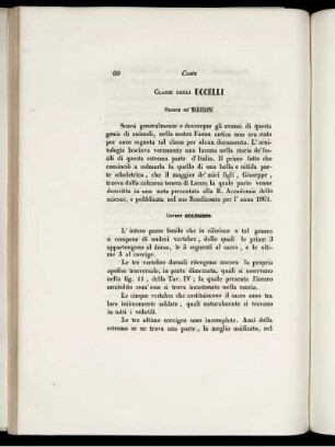 Classe Degli Uccelli