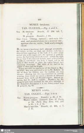 Murex tubifer. Tab. CLXXXIX. --- Figs. 3 to 8
