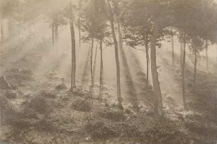 Soleil et brouillard