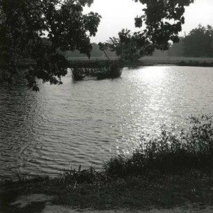Dresden. Großer Garten. Am Neuteich