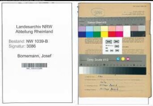 Entnazifizierung Josef Bornemann , geb. 29.08.1901 (Ingenieur)