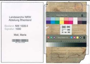 Entnazifizierung Maria Moll , geb. 29.08.1922 (Kaufm.Angestellte)