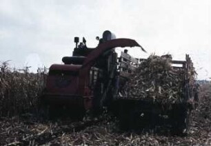 Mähdrescher SK 3 für Körnermaisernte mit angebautem Schneidgebläse für das Maisstroh (Versuchsmuster)