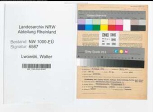 Entnazifizierung Walter Lwowski, geb. 14.01.1882 (Huettendirektor)