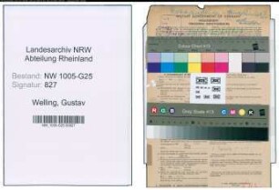 Entnazifizierung Gustav Welling , geb. 05.05.1907 (Verw.Angestellter)
