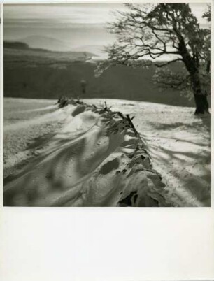 Winter am Schauinsland