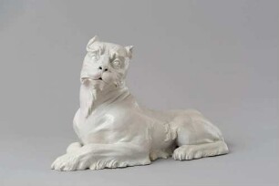 Löwin