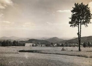 Zittauer Gebirge. Jägerdörfel (Myslivny) nördlich Waltersdorf. Blick nach Süden