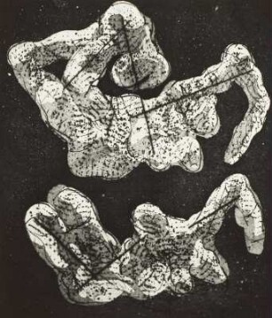 Illustration zu M. Butor: Aufruhr