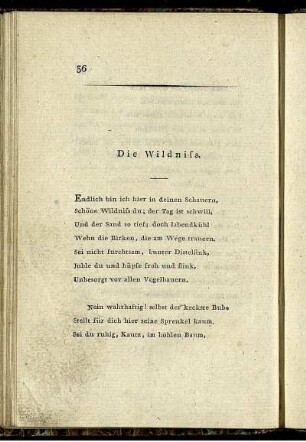 Die Wildniss.
