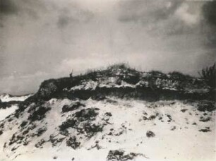 Ostseeküste (bei Leba). Wanderdüne, Grasnarbe hält stand