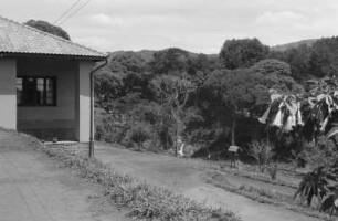 Deutsche Schule von Lushoto : Blick zu einem Wald, der sich vor der deutschen Schule von Lushoto befindet