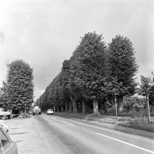 Allee: vorn Straße Richtung Bargfeld-Stegen: rechts Bank: vorn links Pkw: dahinter Anhänger: hinten Lkw und Pkw