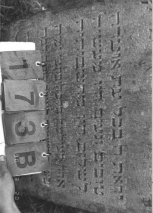Grabstein 173 (Index: 100009050) Zustand: leicht eingesunken Maße HxBxT: 78x53x15 cm: Grabstein 173B