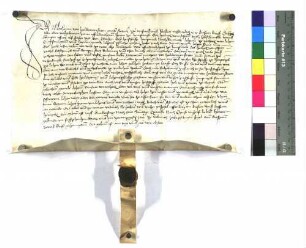 Matthern von Haldermanstetten genannt Stettner zu Wiesenbruck erhält von Schenk Friedrich den Hof zu Helprehtzwyler.